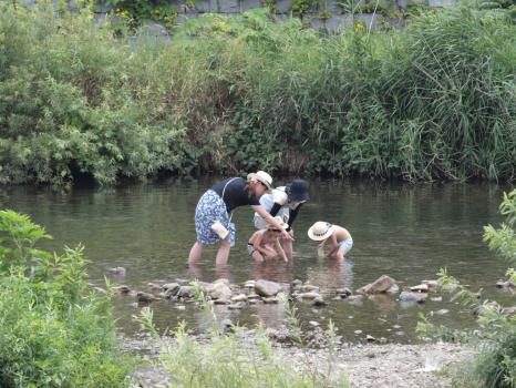 杜陵小学校前の川で自然に親しむ親子
