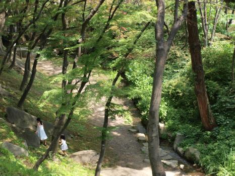 盛岡城址公園のホタルの里(毘沙門橋そば)