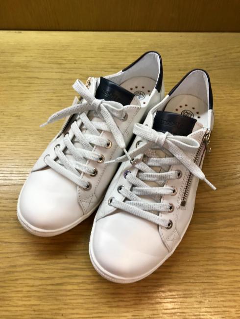 メフィスト春物第1弾入荷！
